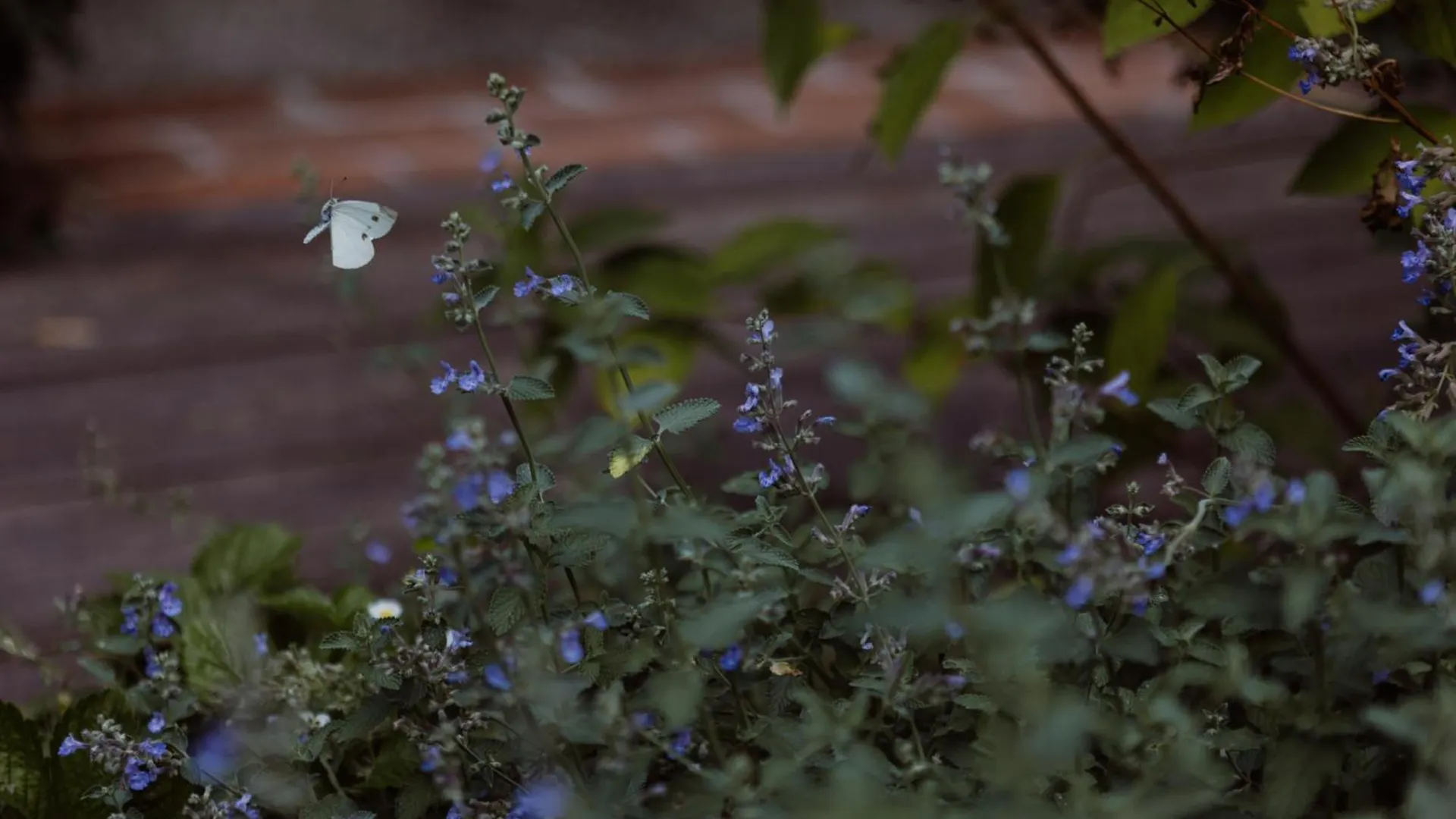 Casa Toma - Luxury Garden House Bed & Breakfast Arzignano