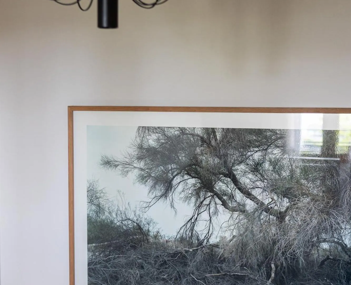 Casa Toma - Luxury Garden House Bed & Breakfast Arzignano